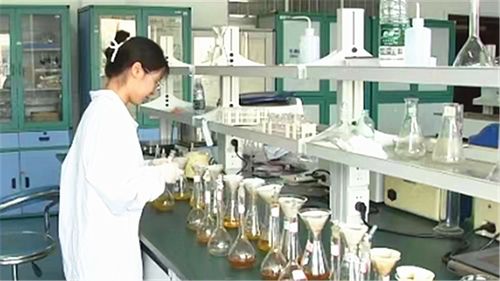 長沙建設(shè)中試基地 技術(shù)咨詢與服務(wù)如何為全球研發(fā)中心注入核心動能